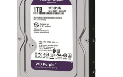Disque Dur 1000GB (1.0TB) 3.5 SATA III 64MB * WD Purple WD10PURZ