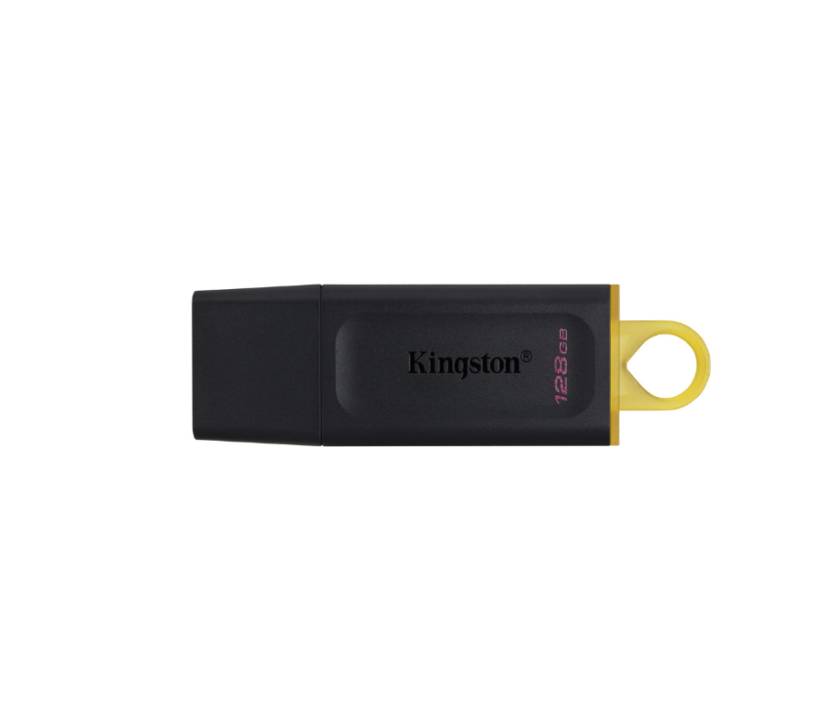 Kingston Lecteur USB MicroSD 2 Go - Fiche technique 