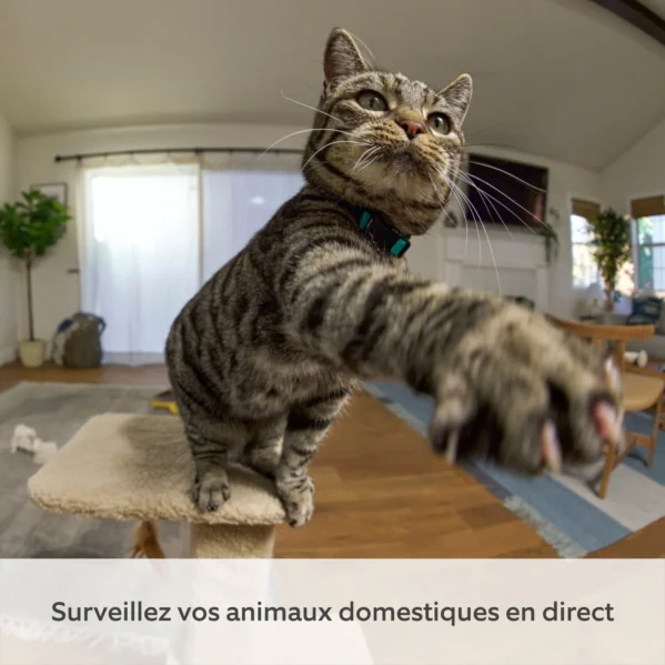 Caméra intérieure orientable Pan-Tilt Indoor Camera Ring – Image 3