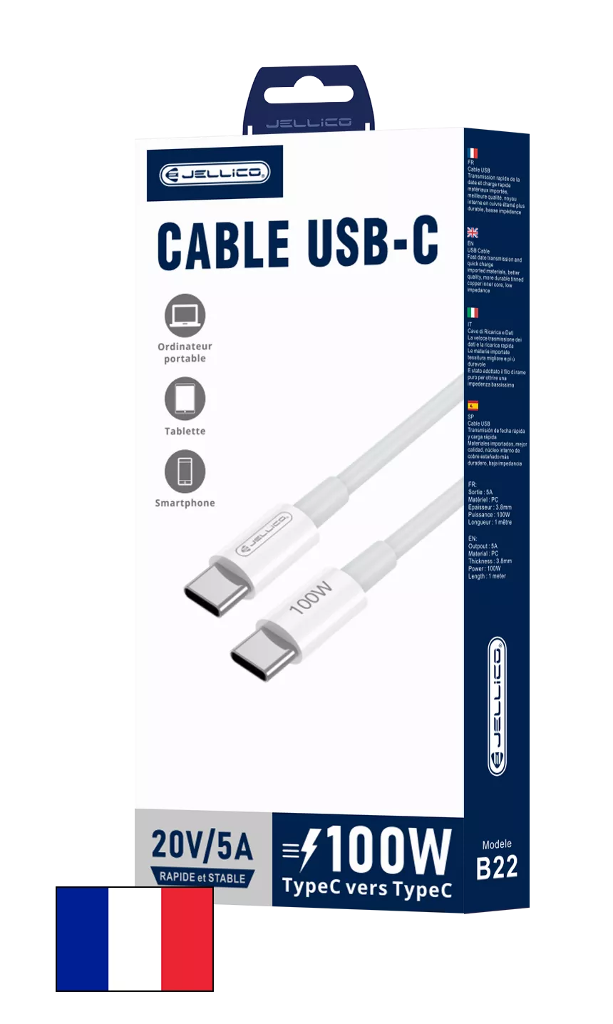 JELLICO Cable Usb-C/Type C vers Usb-C/Type C (100W) 1 mètre B22 blanc